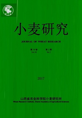 小麦研究(内刊）